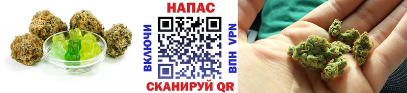 мега ONION  сайты даркнета состав  Canna-Cookies марихуана  Лыткарино 