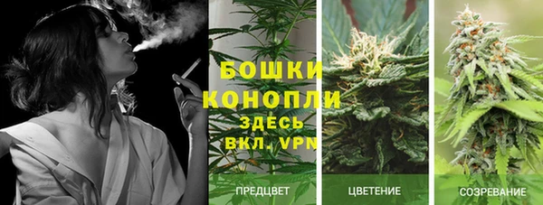 spice Балахна
