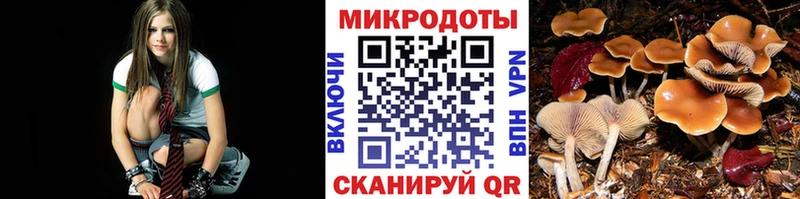 Галлюциногенные грибы ЛСД  MEGA зеркало  Лыткарино 