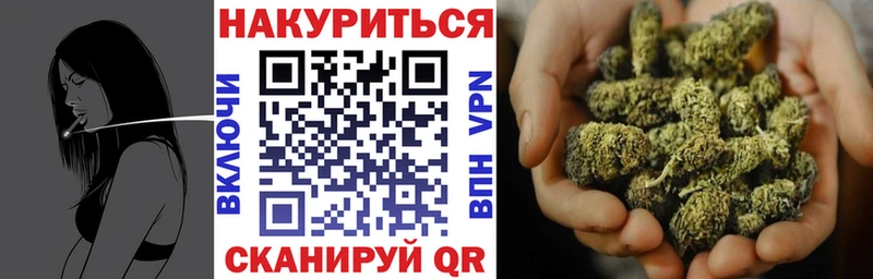 Каннабис сатива  Лыткарино 